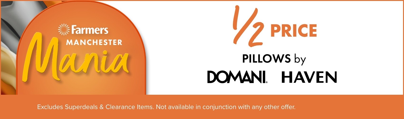 &frac12; PRICE Pillows by Domani & Haven