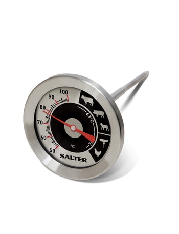 Salter Meat Thermometer product photo