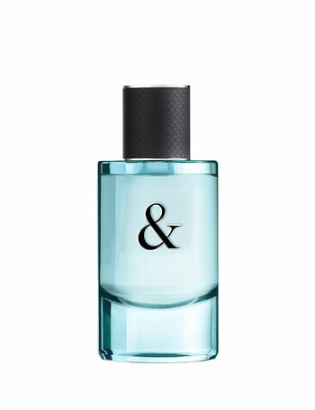 Tiffany & Co Tiffany & Love For Him EDT product photo