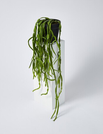 M&Co Faux Trailing Succulent product photo