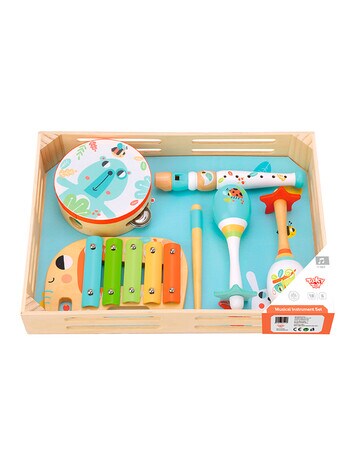 Tooky Toy Musical Instrument Set product photo