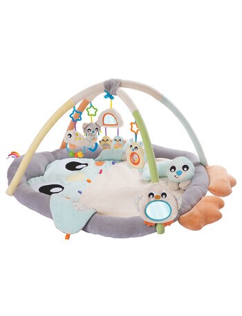 Playgro Snuggle Me Penguin Gym product photo