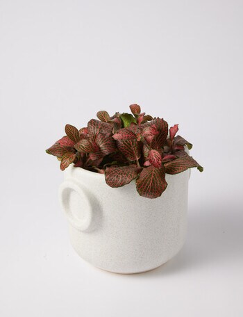 Tilly Home Bower Planter, Small product photo