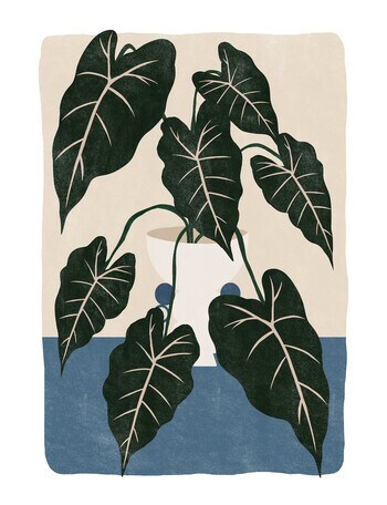 HAVEN Home D&eacute;cor Alocasoa Amazonica Poster Wall Art product photo