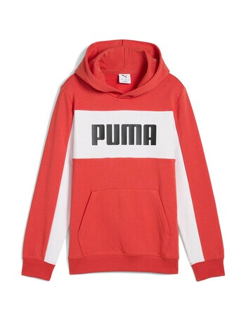 Puma Essentials Block Hoodie, Red product photo