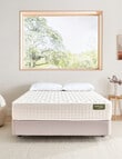 Naturesleep Firm Feel Bedset product photo View 02 S