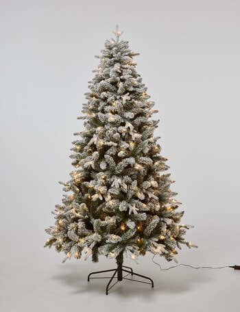 Christmas Shop Oxford Spruce Pre-Lit & Frosted Tree, 210cm/7ft product photo