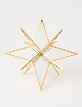 Christmas Shop Star Burst Large product photo