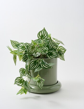 Tilly Home Tali Pot, Herb product photo