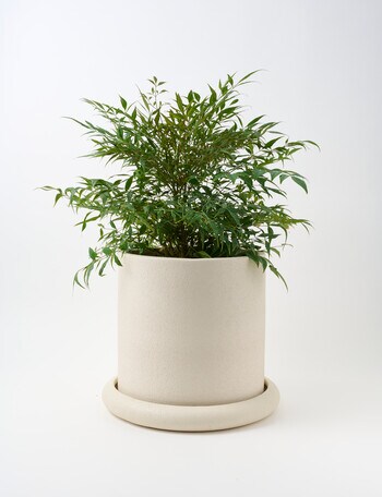Tilly Home Tali Pot, Sand product photo
