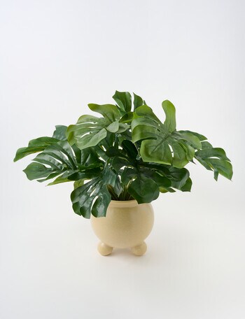 Tilly Home Rhi Pot product photo