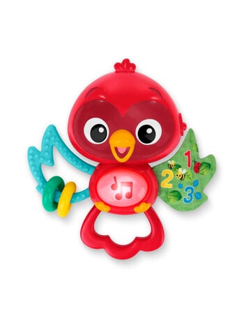 Baby Einstein Roxy's Bright Flight Musical Toy product photo