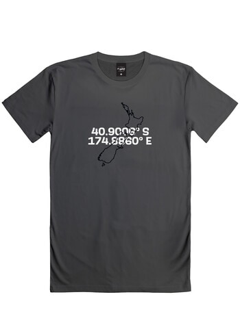 Mr Vintage You Are Here Tee, Graphite product photo