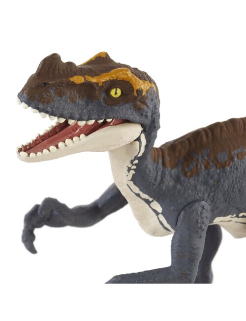 Jurassic World Rebirth Frenzy Pack Dinosaur Action Figure, Assorted product photo
