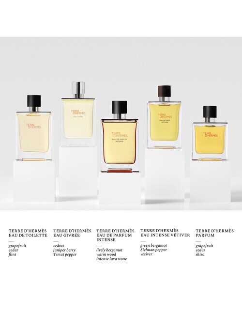 Hermes Terre d'Hermès, Eau de Parfum Intense product photo View 06 L