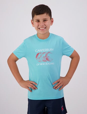 Canterbury Rakaia Short Sleeve Tee, Blue product photo