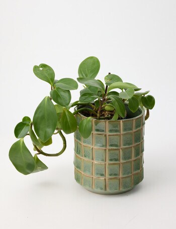 Tilly Home Liza Planter, Small product photo