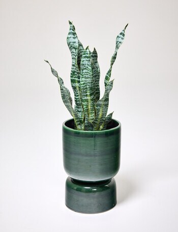 Tilly Home Arcadia Planter, Olive product photo