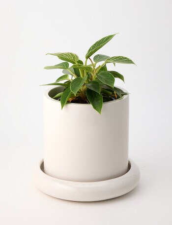 Tilly Home Tali Pot, Beige product photo