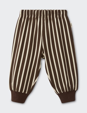Bonds Roomies Trackpant, Brown & Cream product photo