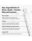 The Ordinary Rice Lipids + Ectoin Microemulsion, 60ml product photo View 04 S