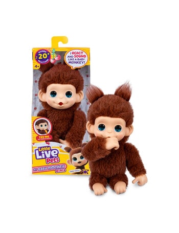 Little Live Pets My Baby Mini Monkey, Assorted product photo
