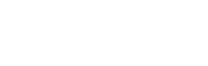 Natio Logo