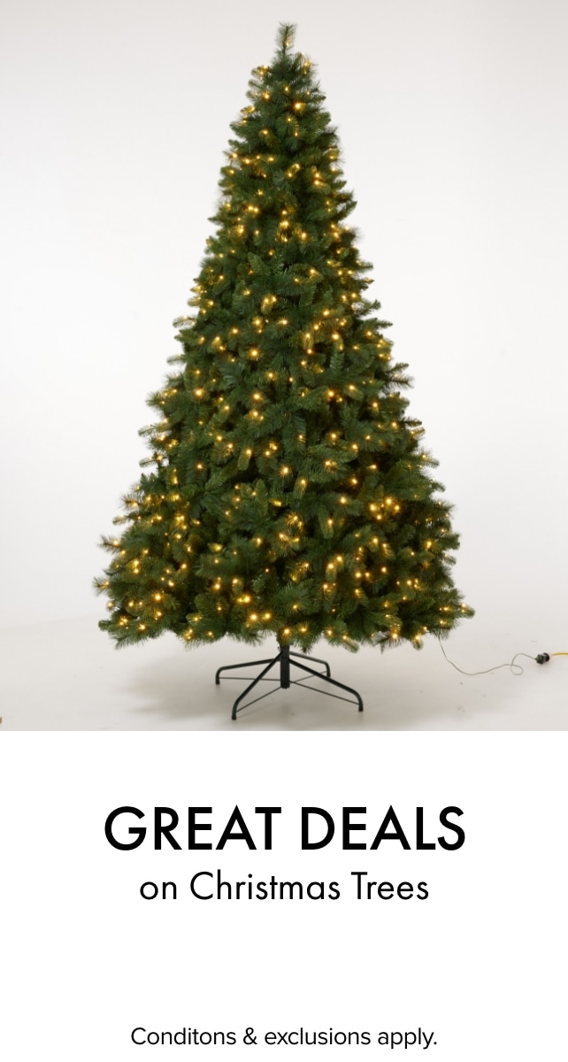 Great Deals on Christmas Trees