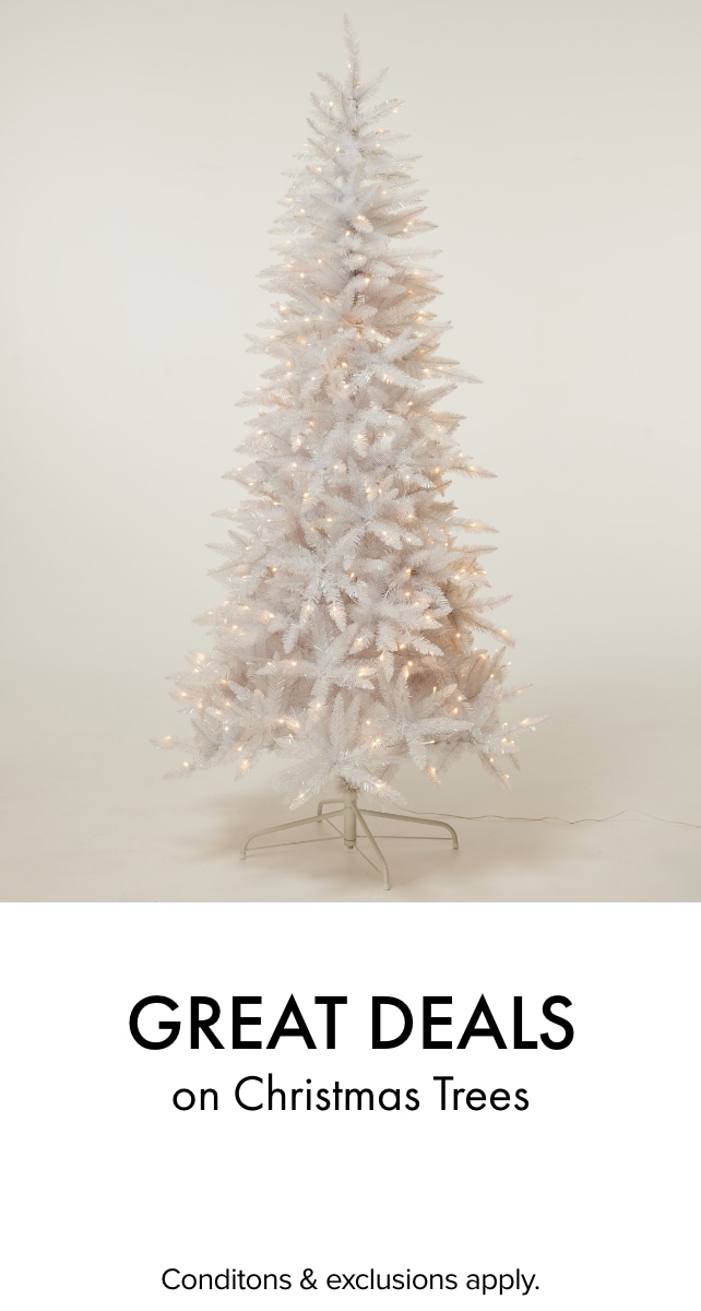 Great Deals on Christmas Trees
